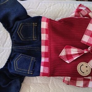 Red and Blue Dog Outfit with Checkered Accents